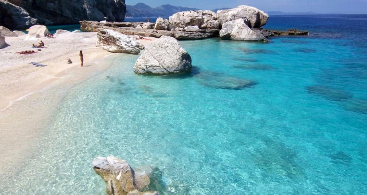 Purple Flower * Cala Gonone